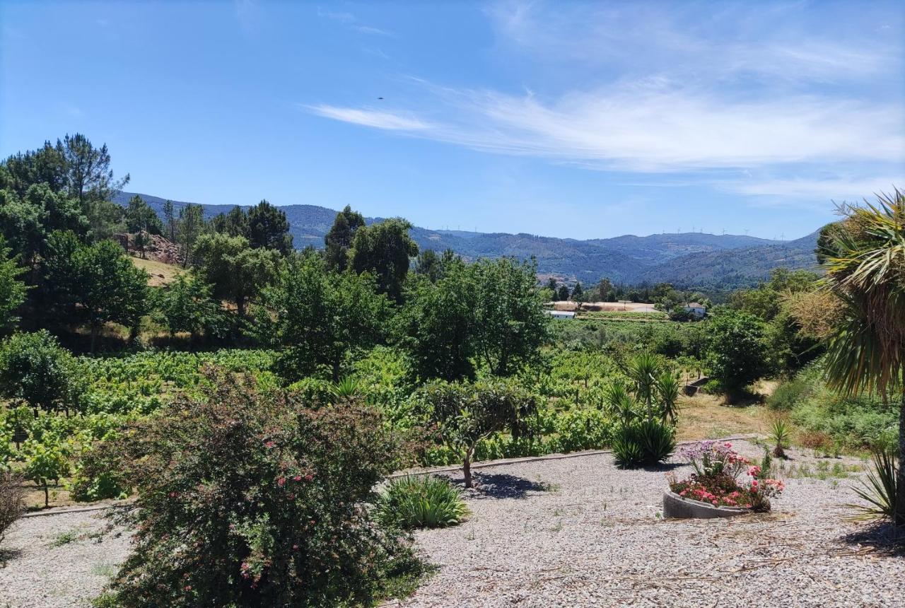 Quinta Da Paixao - Pedraca