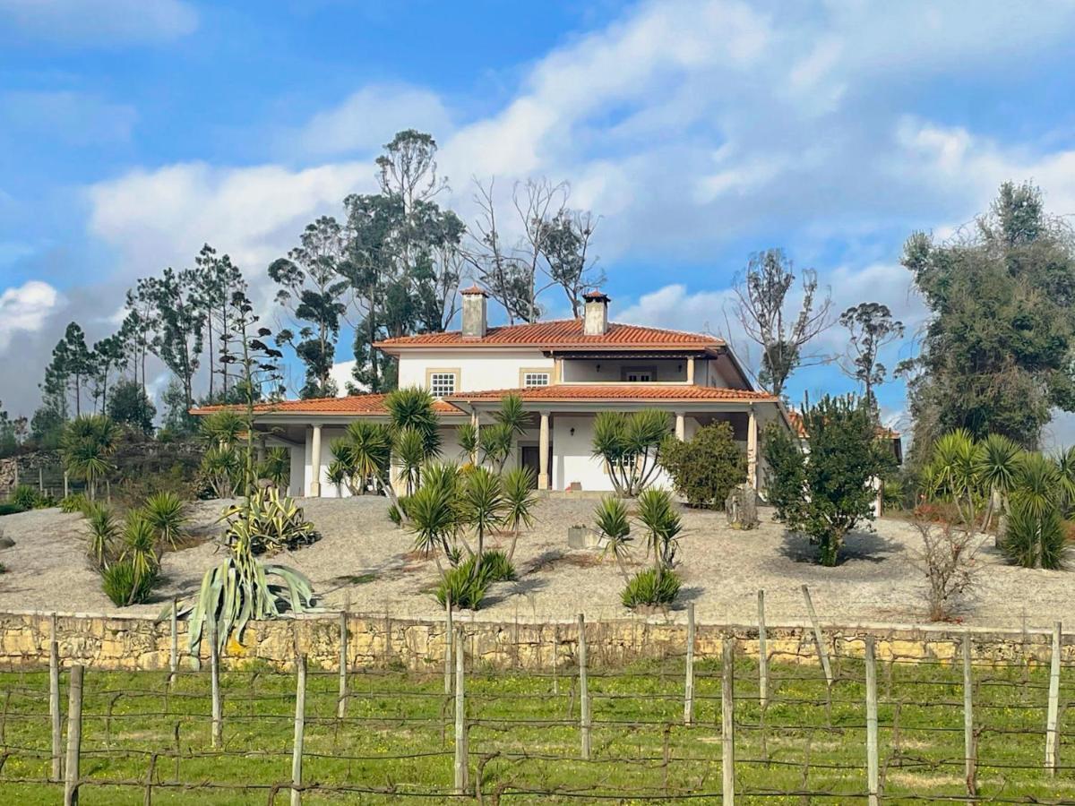 Quinta Da Paixao - Bed & Breakfast Pedraca
