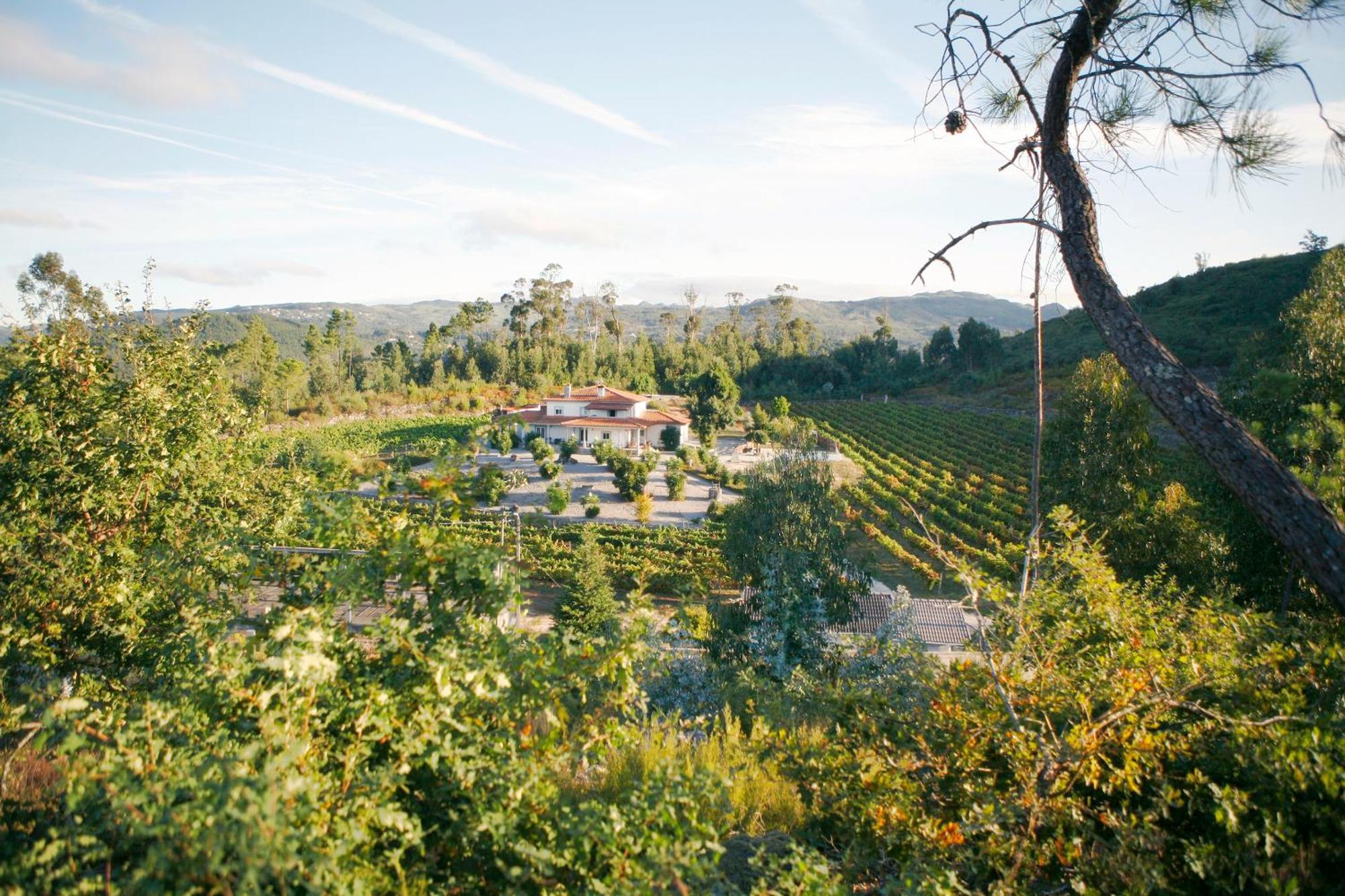 Quinta Da Paixao - Bed & Breakfast *