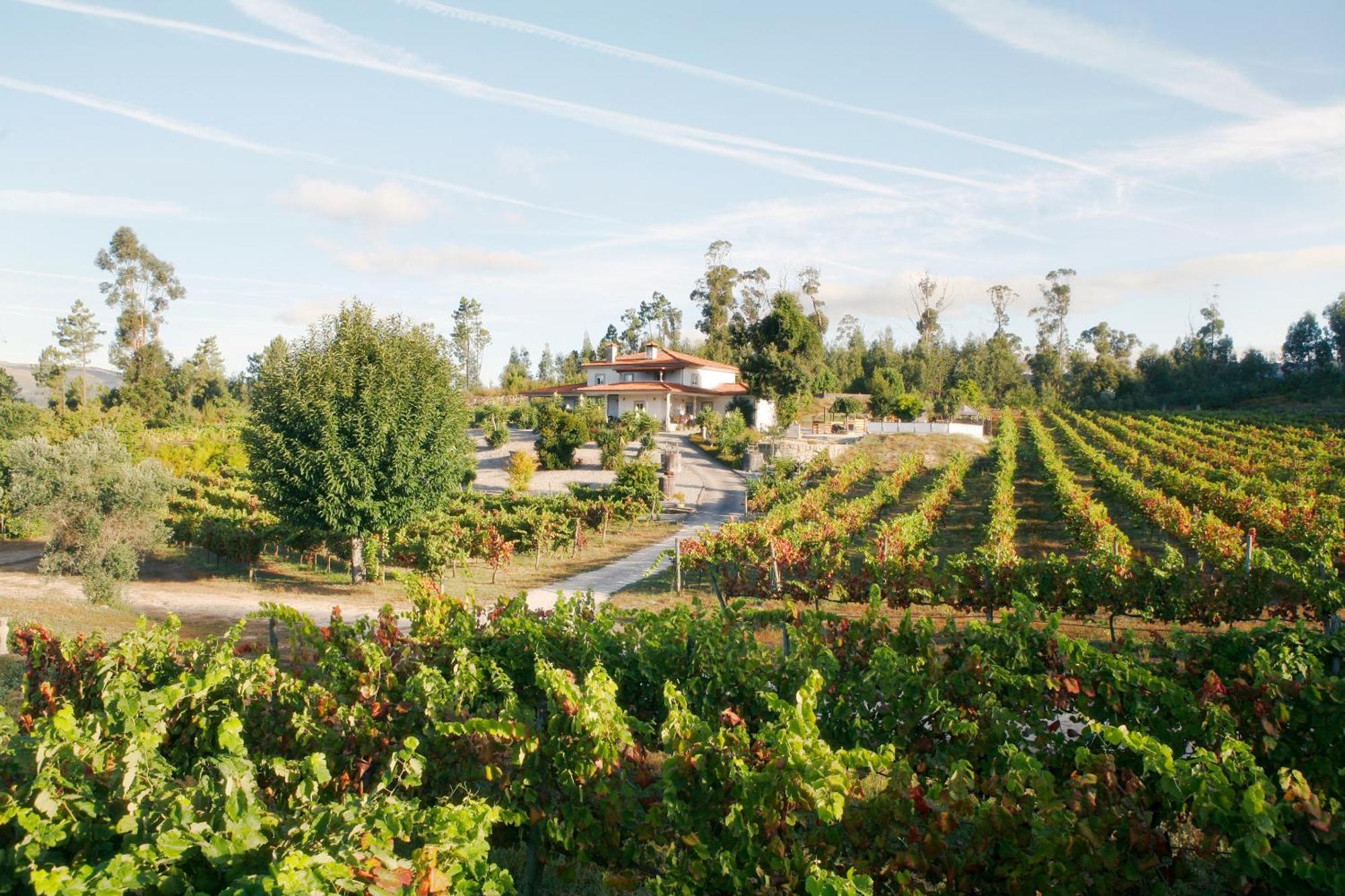 Bed & Breakfast Quinta Da Paixao -